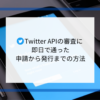 Twitter APIの審査に即日で通った申請から発行までの方法【初心者向け】